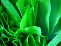 -嘻游纪亲子游泳中心(天佑城店)