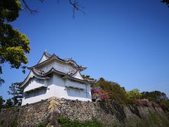 -名古屋城