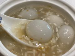 -席家花园(巨鹿花园店)