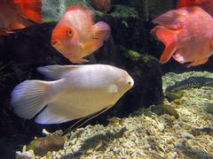 -太平洋海底世界