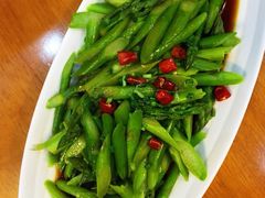 iphone_upload_pic-阿林有机农庄