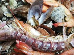 -大锅强·蒸海鲜青岛菜(吾悦广场店)