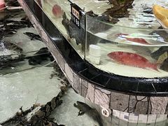 -沙田台山海鲜·酣客酒窖