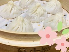 鲜肉小笼-苏小柳手工点心(人民广场分院)