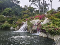 -云溪植物园