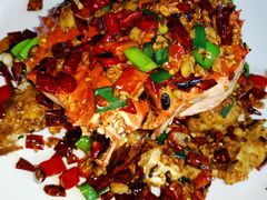 -顺德了能馆(虎门店)