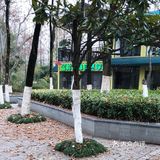[亲亲]夏日感受自然风光