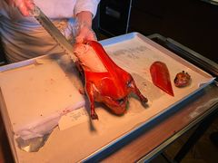 -秀儿四九城·新京菜(亚运村鸟巢店)