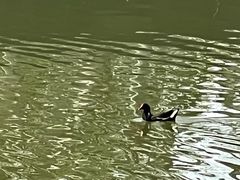 -白塘生态植物园