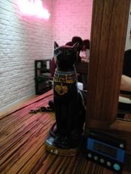 -HAIR PORN STUDIO