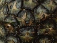 -傣家寨花园主题餐厅