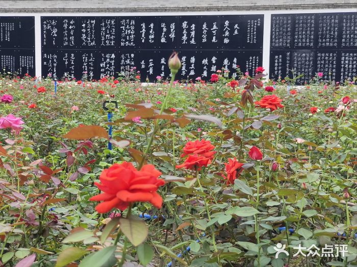 宝墨园景区图片