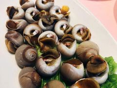 雪汁扁螺-高佳庄·舟山海鲜(海景旗舰店)