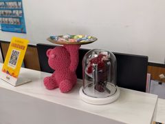 -瑞派雷欧宠物医院·中兽医·眼科·急重症转诊中心(黄台店)