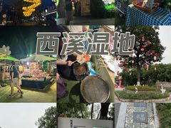 -西溪国家湿地公园