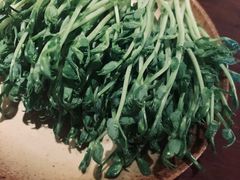 -盡膳口福跷脚牛肉火锅(北美新天地店)