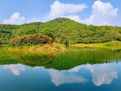 -广州白江湖森林公园