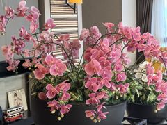 -如家精选酒店(苏州火车站万达广场地铁站店)