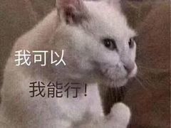 -莲花体育中心