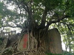 -乌山风景区