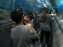-大连圣亚海洋世界