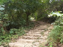 -梧桐山风景名胜区