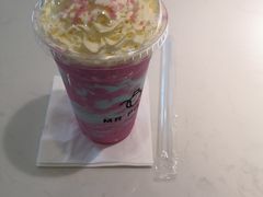 -飞行喵MR PILOT|猫舍·猫咖(静安大融城店)