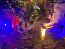 -恐龙探索乐园(磁器口店)