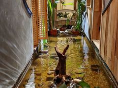 -邈墨茶馆(凤起路店)