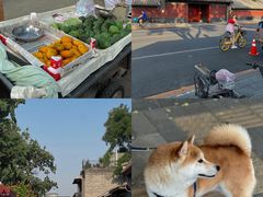 -北京国子监胡同