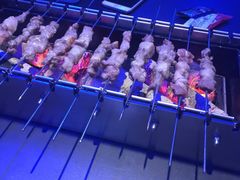 -很久以前羊肉串(打浦路店)