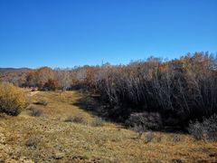 -塞罕坝国家级自然保护区