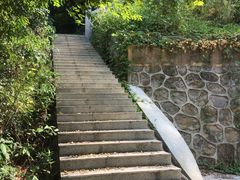 -火炉山森林公园