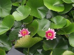 -四川大学(华西校区)