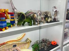 -斯坦星球AI编程·机器人科创·乐高科学·信奥·思维·专注力·STEM·竞赛考级(高新区绿宝广场龙湖狮山天街学习中心)