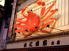 -蟹道乐(道顿堀本店)