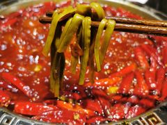 干贡菜-渝大狮毛肚老火锅(普陀店)