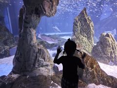 -海合安成都极地海洋公园