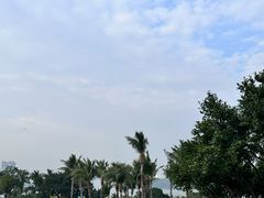 -滨海公园