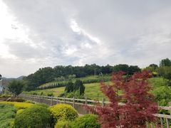 -棒棰岛宾馆景区