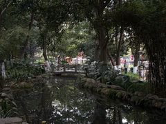 -成都市活水公园