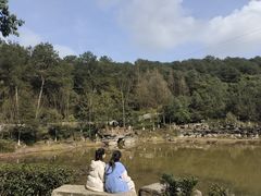 -铁山坪森林公园