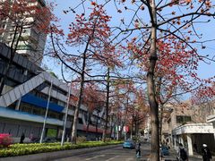 -赏点粤式点心(广州塔店)