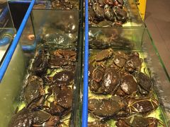 -Isla Sugbu Seafood City