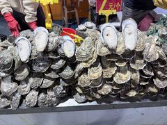 -渔人金景(湛江·渔人码头店)