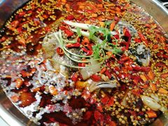 -味之绝热血美蛙鱼火锅(中坝店)