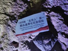 -周口店北京人遗址公园