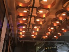 -the rug 飞毯 (朝阳公园店)