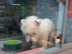 -FAELING PETS美天灵宠物(合生汇店)