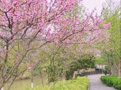 -南京市儿童医院(河西院区)
